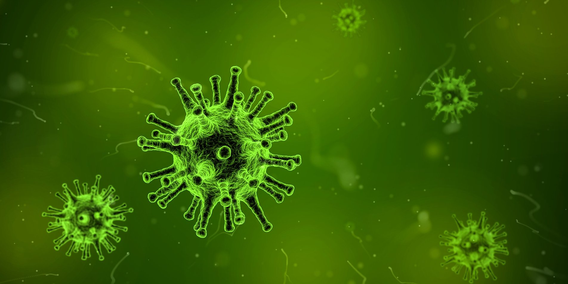Three Ways to Fight the Flu - Virus Image.jpg